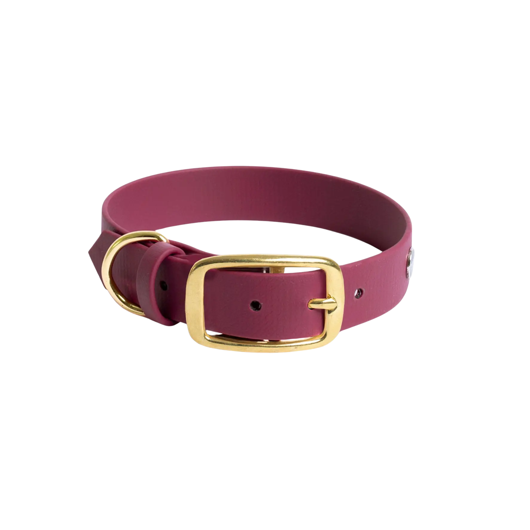 Obroża na sprzączkę dla psa, bordo / HAU... hot in here, DARK HAU... hot in here BURA