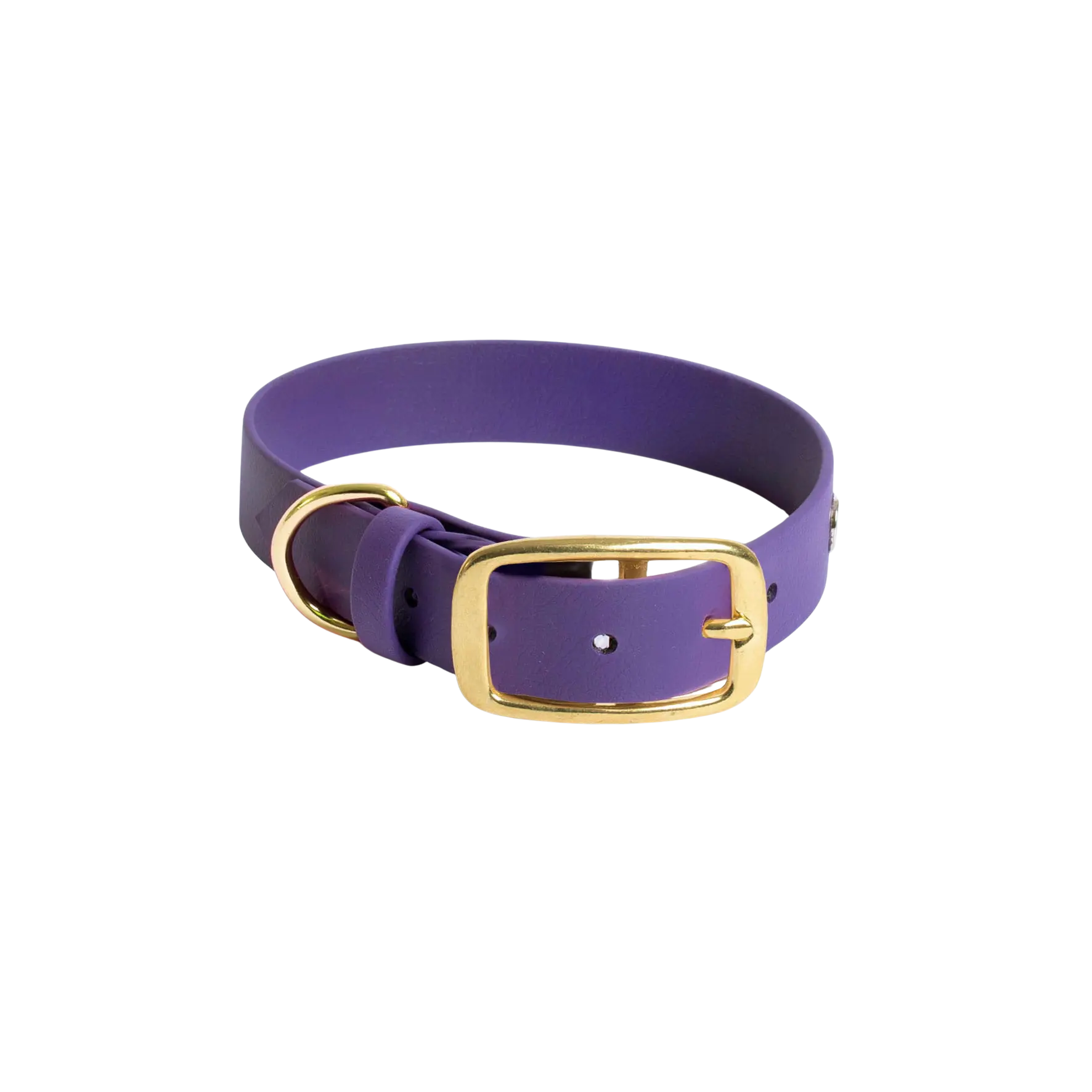 Obroża na sprzączkę dla psa, fiolet / time to be Unidog! BURA