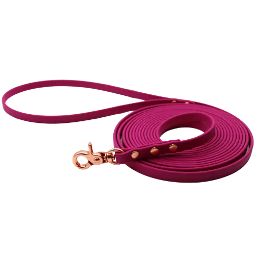 Smycz BioThane Magenta Pink Co Collar