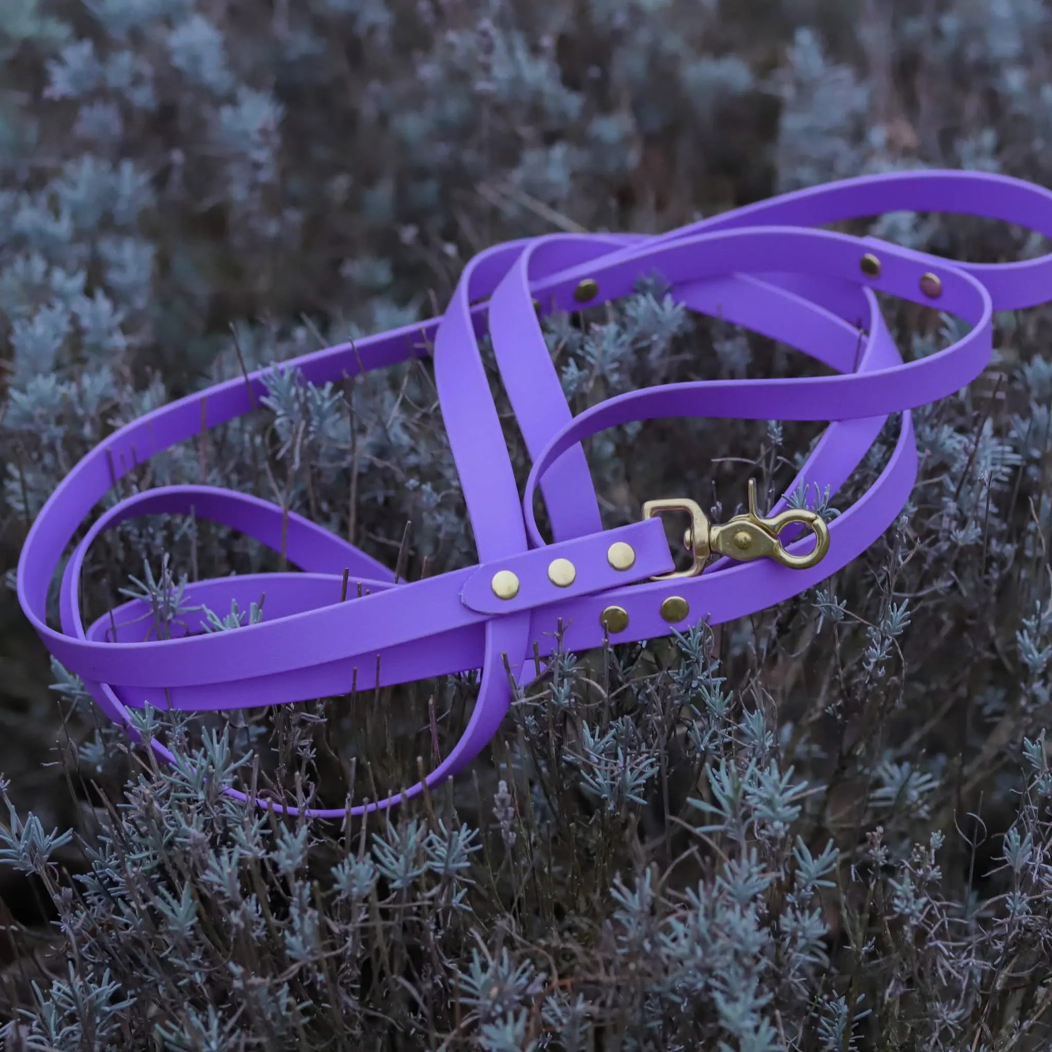 Smycz BioThane Lilac Purple Co Collar