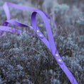 Załaduj obraz do przeglądarki galerii, Smycz BioThane Lilac Purple Co Collar