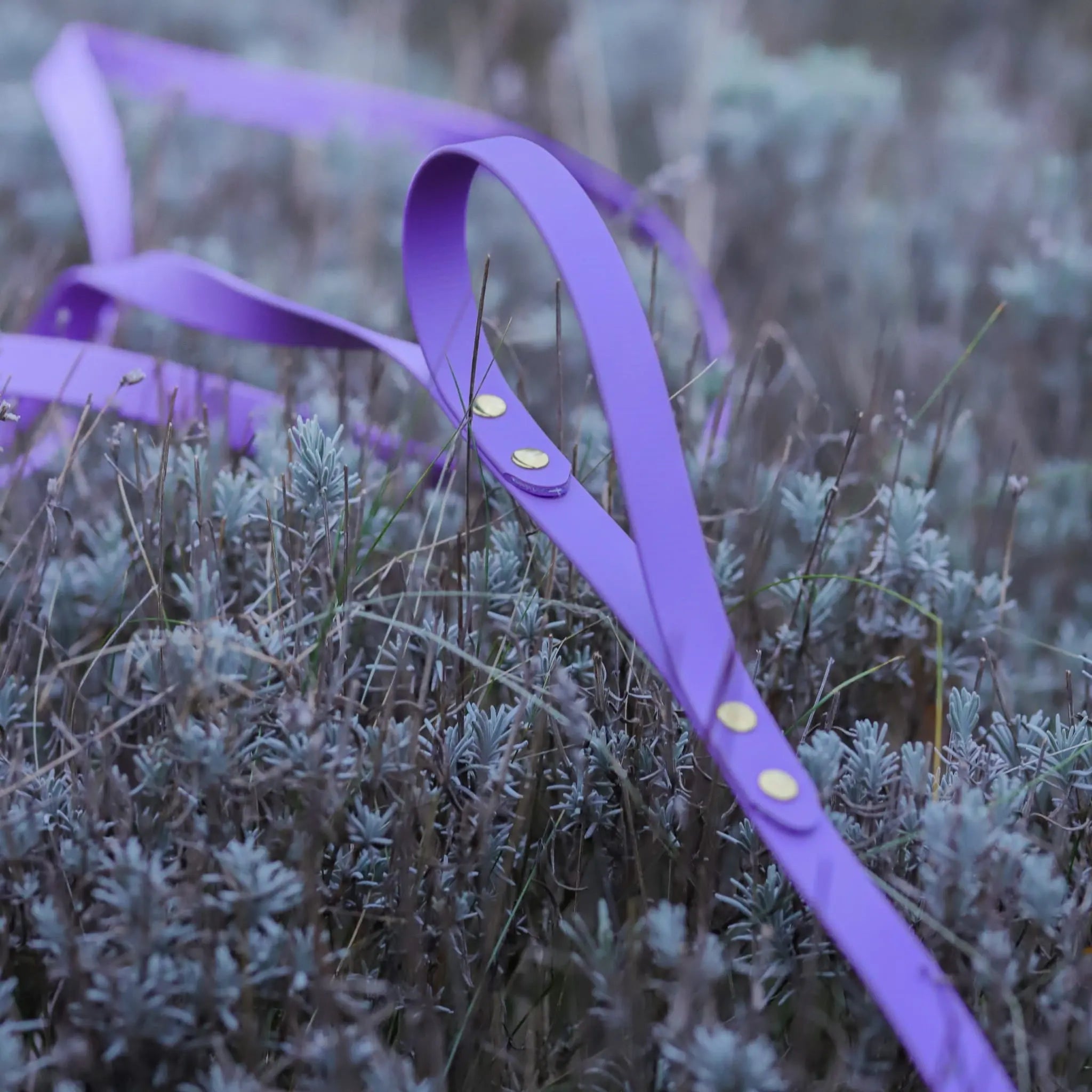 Smycz BioThane Lilac Purple Co Collar