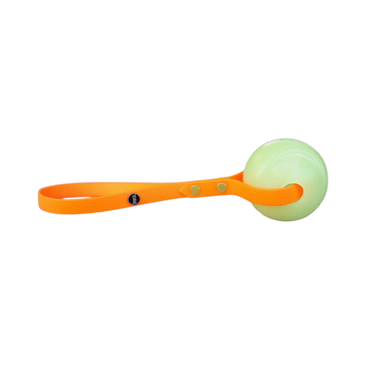 Piłka świecąca w ciemności do aportu M - 6,5 cm, MAX GLOW Chuckit! BURA