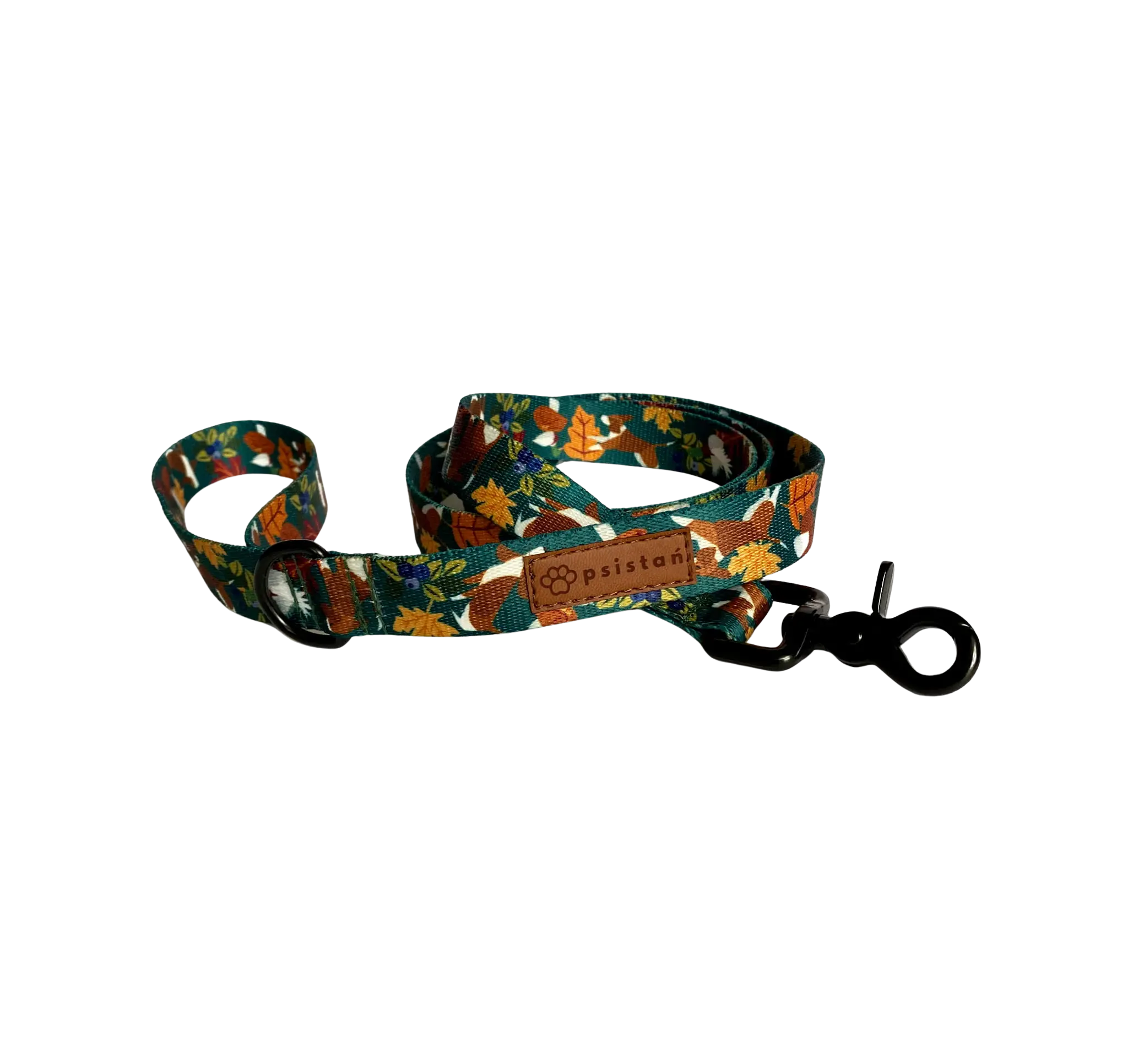 Smycz miejska Leśne Harce psistań