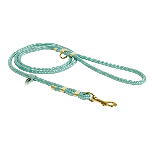 Smycz miejska linowa dla psa, szałwiowy / szAUUUwia BURA