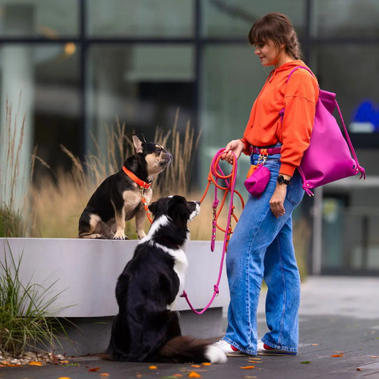 Bura Torba 2w1 Pup Fiction / magenta BURA