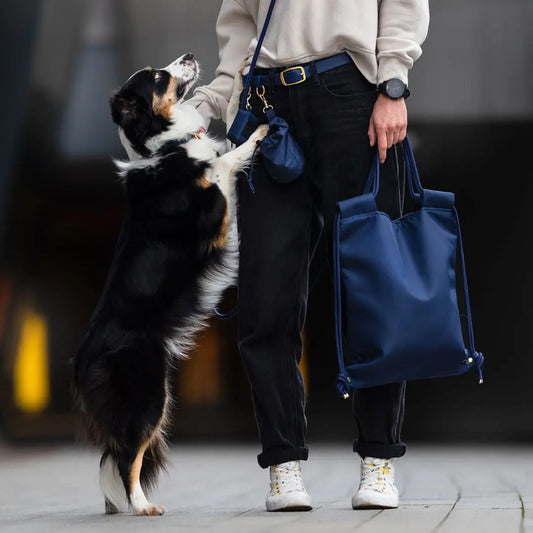 Bura Torba 2w1 Royal dog / granat BURA