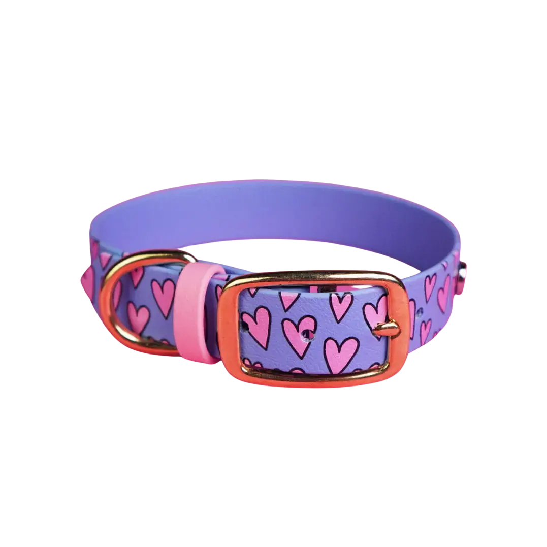Obroża na sprzączkę dla psa, Serca / niebiesko-lawendowy BURA