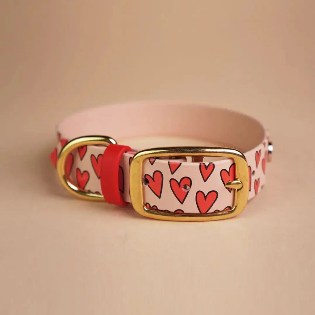 Obroża na sprzączkę dla psa, Serca / pudrowy BURA