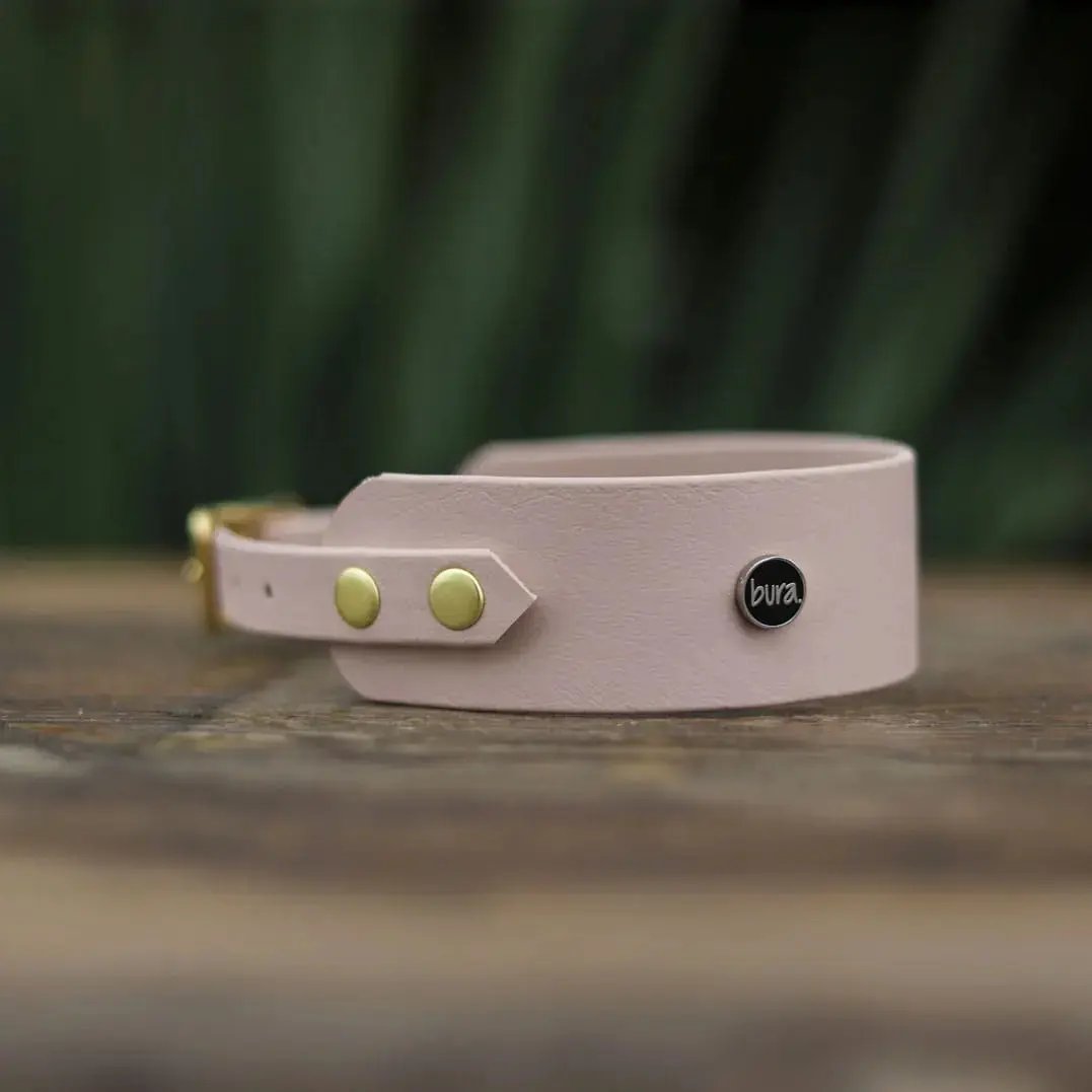 Obroża dla Charta na sprzączkę, PUP&cake / pudrowy BURA