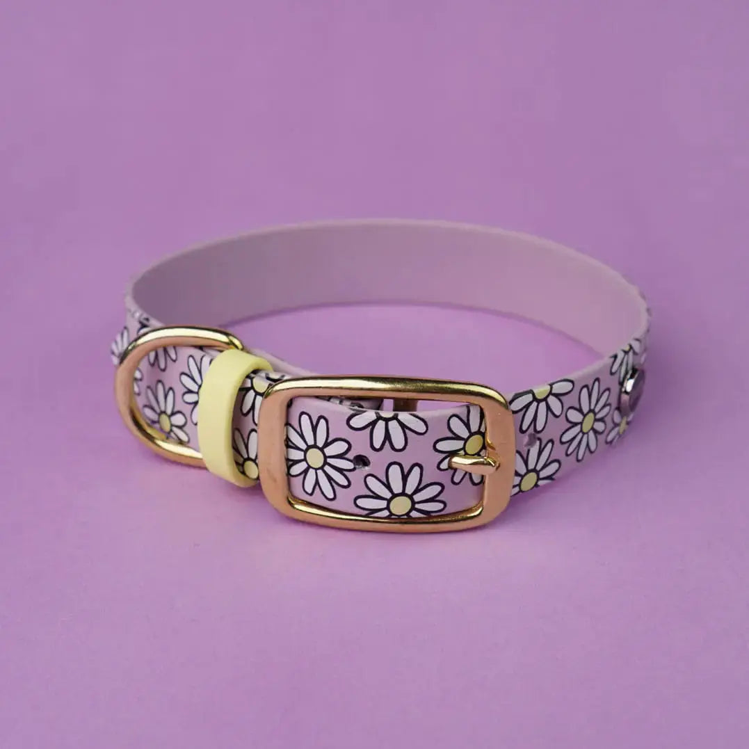 Obroża na sprzączkę dla psa, Stokrotki / lilia BURA
