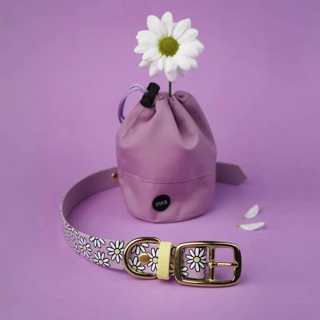 Obroża na sprzączkę dla psa, Stokrotki / lilia BURA