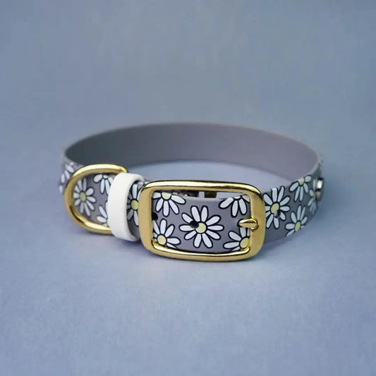 Obroża na sprzączkę dla psa, Stokrotki / szary BURA