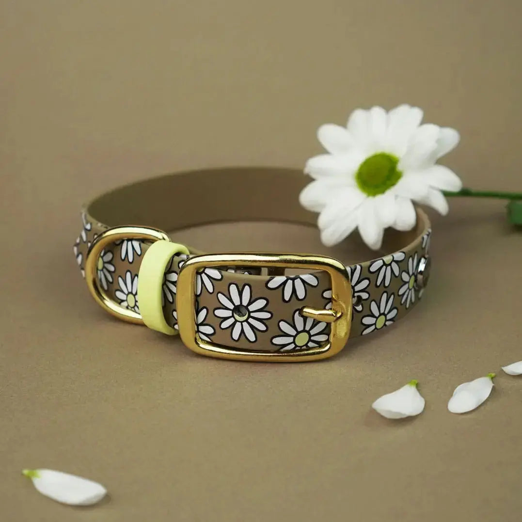 Obroża na sprzączkę dla psa, Stokrotki / khaki BURA