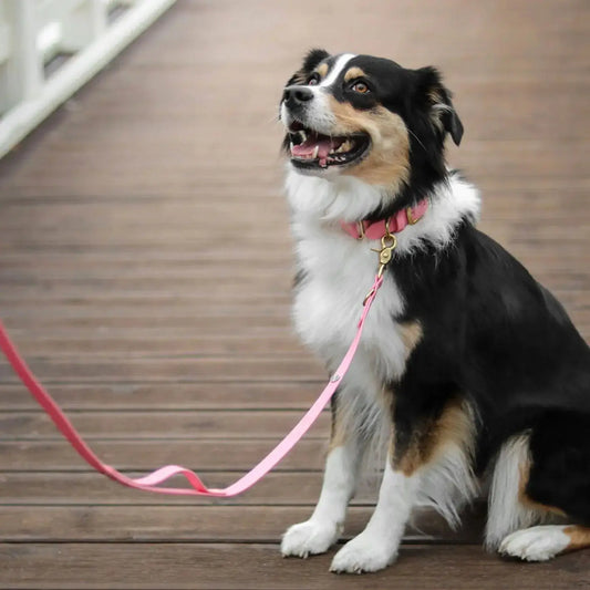 Smycz przepinana multifunkcyjna z Biothane dla psa, pastelowy róż / PUPPY pink BURA