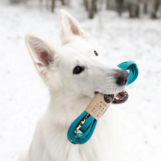 Smycz przepinana multifunkcyjna z Biothane dla psa, turkus / wilk MORSKI BURA