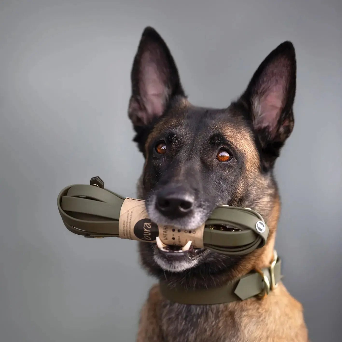 Smycz przepinana multifunkcyjna z Biothane dla psa, militarna zieleń / WATAHA BURA