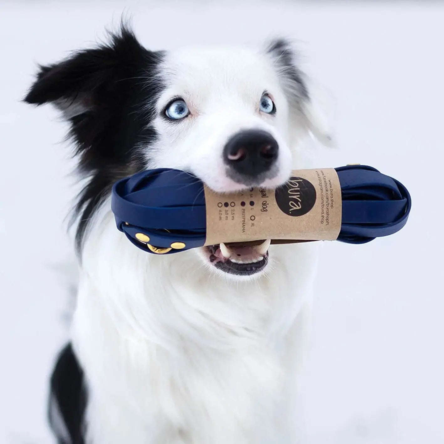 Smycz przepinana multifunkcyjna z Biothane dla psa, granat / Royal dog BURA