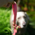 Załaduj obraz do przeglądarki galerii, Smycz przepinana multifunkcyjna z Biothane dla psa, koral / Psiutti frutti BURA