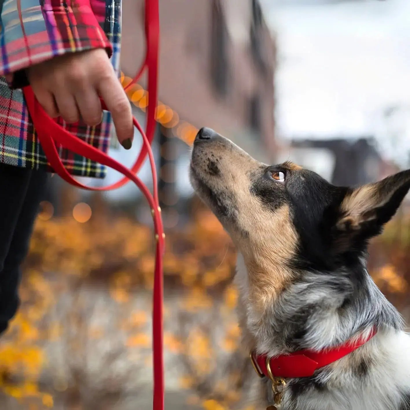 Smycz przepinana multifunkcyjna z Biothane dla psa, czerwony / hot DOG BURA