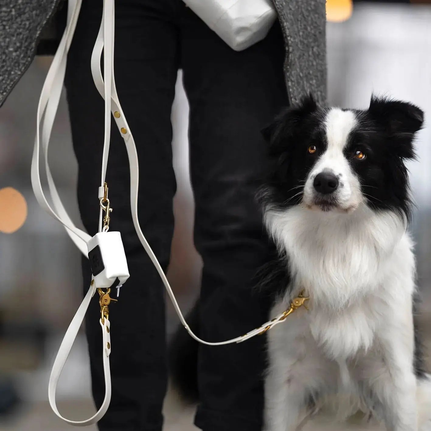 Smycz przepinana multifunkcyjna z Biothane dla psa, biały / beza Psiavlova BURA