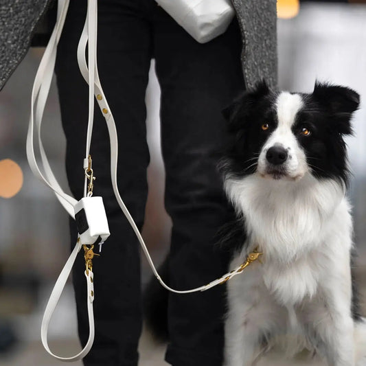 Smycz przepinana multifunkcyjna z Biothane dla psa, biały / beza Psiavlova BURA