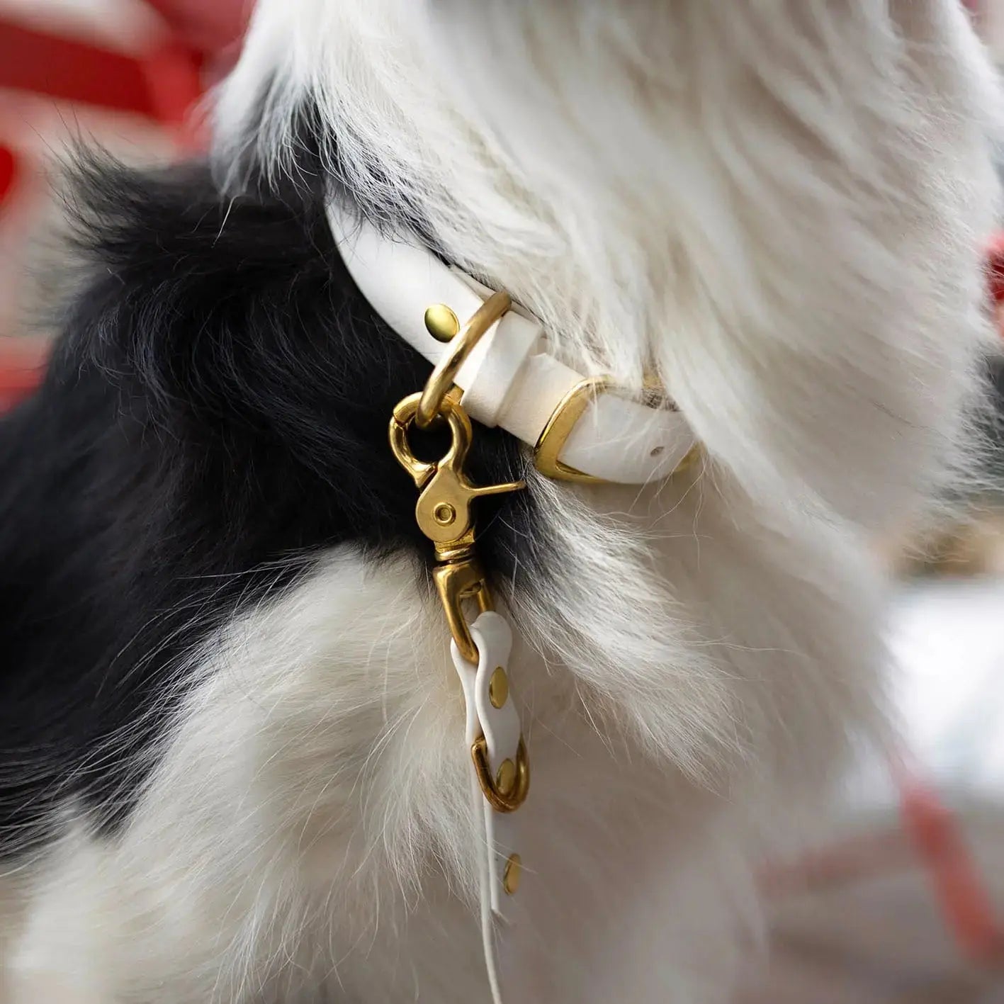 Smycz przepinana multifunkcyjna z Biothane dla psa, biały / beza Psiavlova BURA