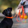 Załaduj obraz do przeglądarki galerii, Smycz przepinana multifunkcyjna z Biothane dla psa, pomarańcz / doggie COOL BURA