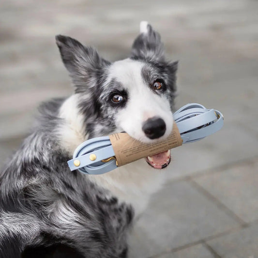 Smycz przepinana multifunkcyjna z Biothane dla psa, pastelowy niebieski / PUPPY blue BURA