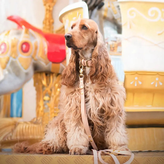 Smycz przepinana multifunkcyjna z Biothane dla psa, pudrowy / PUP&cake BURA