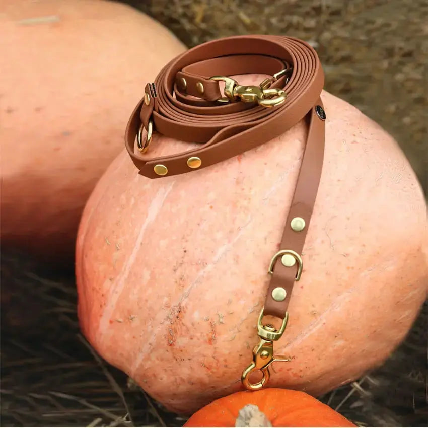 Smycz przepinana multifunkcyjna z Biothane dla psa, jasny brąz / dog on the ROCK BURA