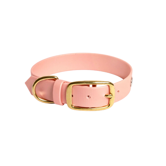 Obroża na sprzączkę dla psa, łososiowy róż / wata PSIUkrowa BURA