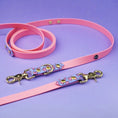 Załaduj obraz do przeglądarki galerii, Smycz przepinana multifunkcyjna z Biothane dla psa, Serca / róż, niebiesko-lawendowy BURA