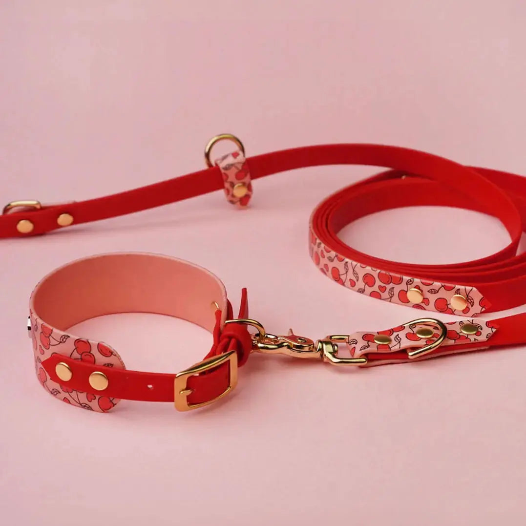 Smycz przepinana multifunkcyjna z Biothane dla psa, Wiśnie i serduszka / czerwony,  łososiowy róż BURA