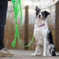 Załaduj obraz do przeglądarki galerii, Linka treningowa dla psa z taśmy HEXA, neonowy zielony BURA