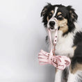 Załaduj obraz do przeglądarki galerii, Linka treningowa dla psa z taśmy HEXA, pastelowy róż BURA