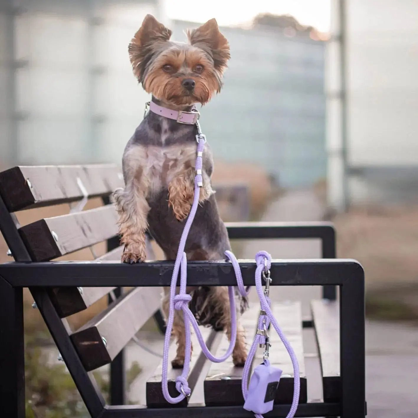 Smycz przepinana linowa dla psa, lilia / YOU're pawsome! BURA