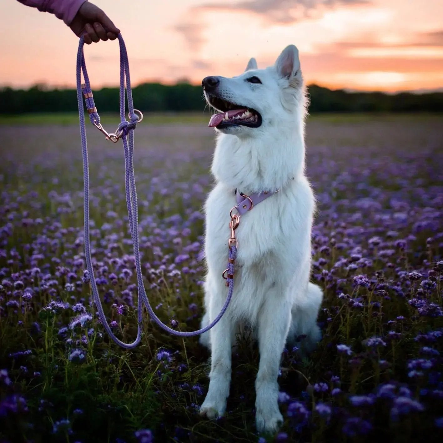 Smycz przepinana linowa dla psa, lilia / YOU're pawsome! BURA