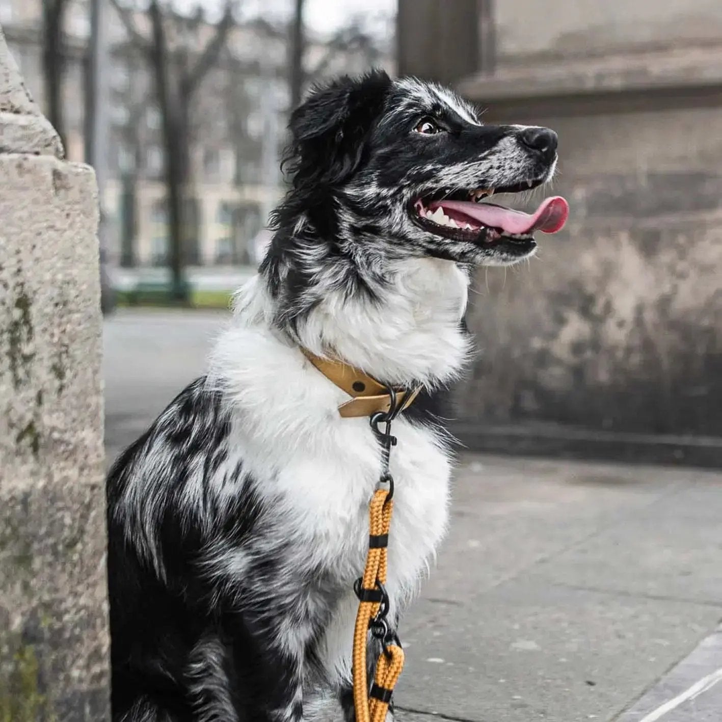 Smycz przepinana linowa dla psa, karmelowy / psiowe carmeLOVE BURA