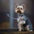 Załaduj obraz do przeglądarki galerii, Smycz przepinana linowa dla psa, szary / szaroBURA BURA