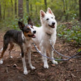 Załaduj obraz do przeglądarki galerii, Smycz przepinana linowa dla psa, szary / szaroBURA BURA