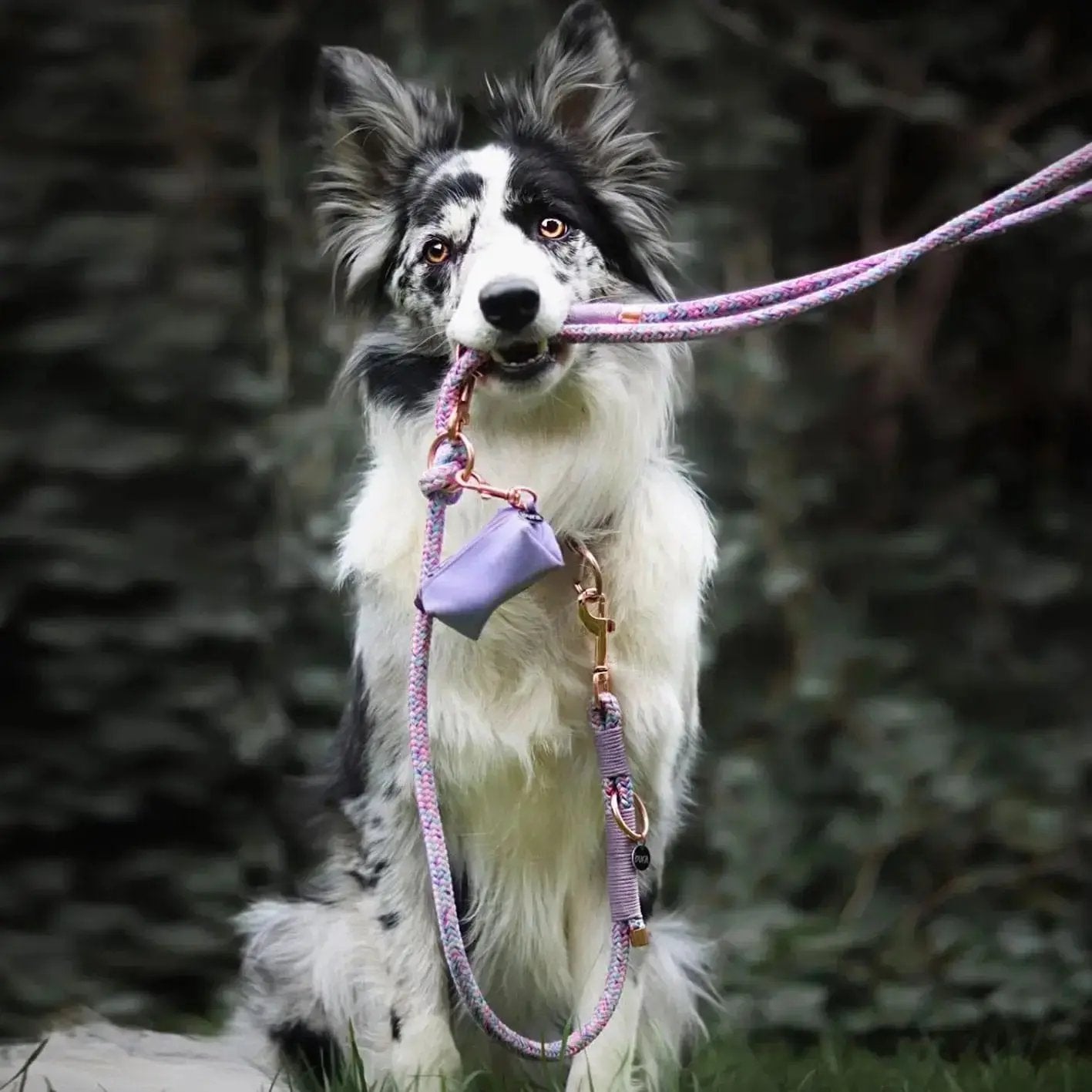 Smycz przepinana linowa dla psa, fioletowy mix  / time to be Unidog! BURA