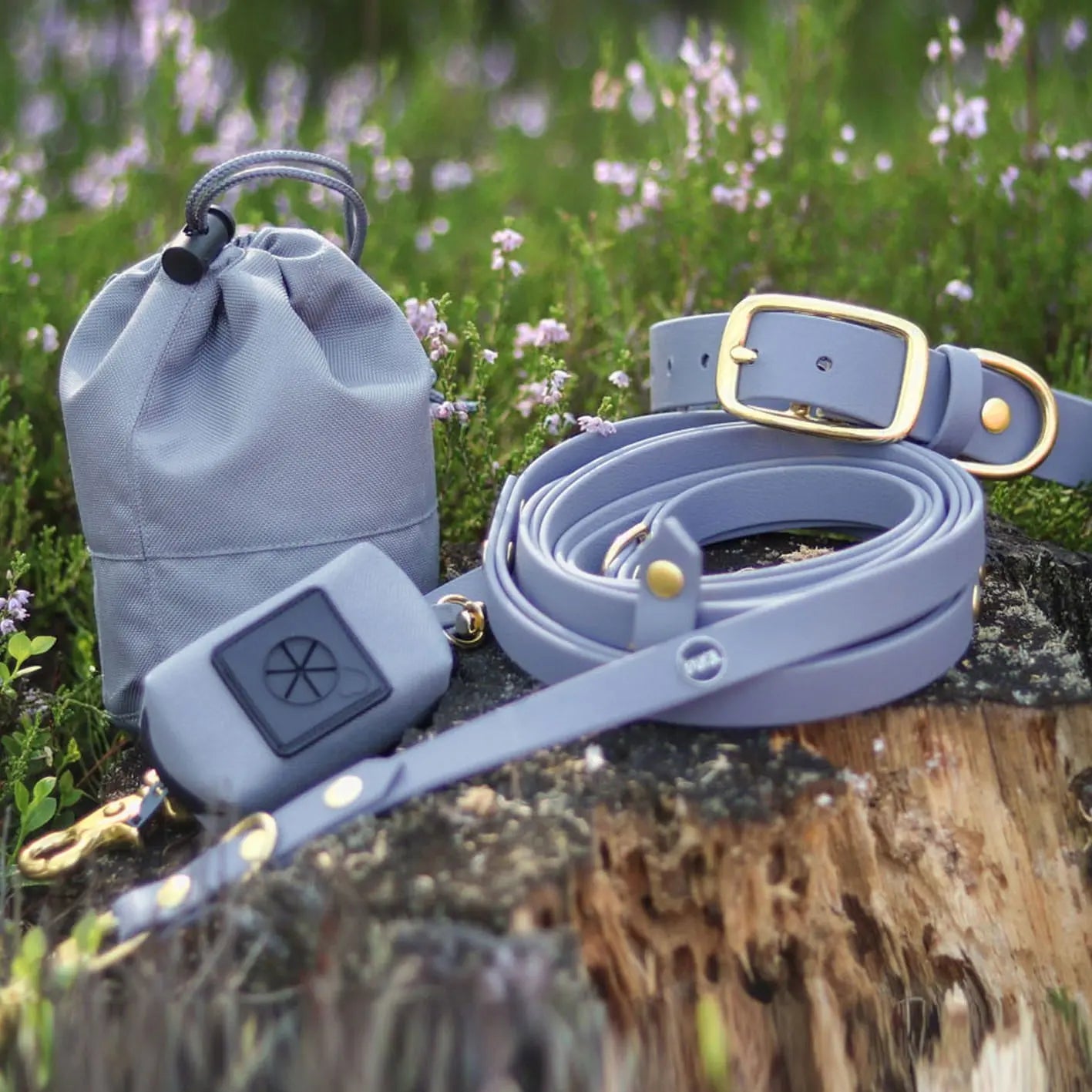 Obroża na sprzączkę dla psa, szary / szaroBURA BURA