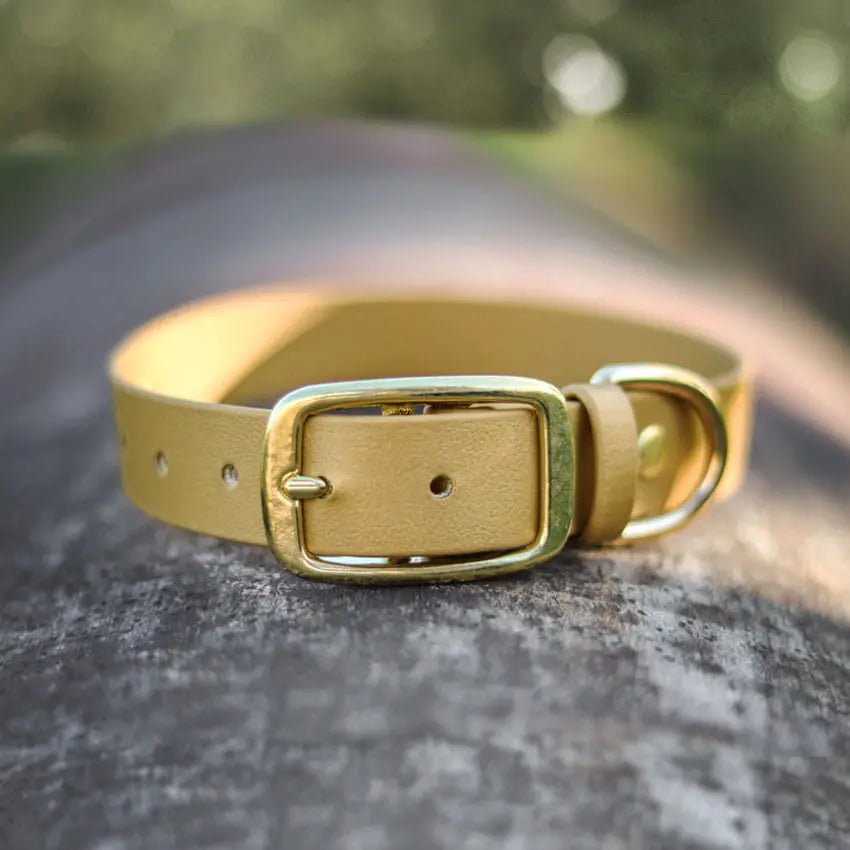 Obroża na sprzączkę dla psa, złoty / psiowe carmeLOVE, chocolate... HAU good! BURA