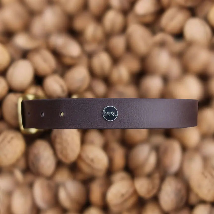 Obroża na sprzączkę dla psa, ciemny brąz / dark chocolate... HAU good! BURA