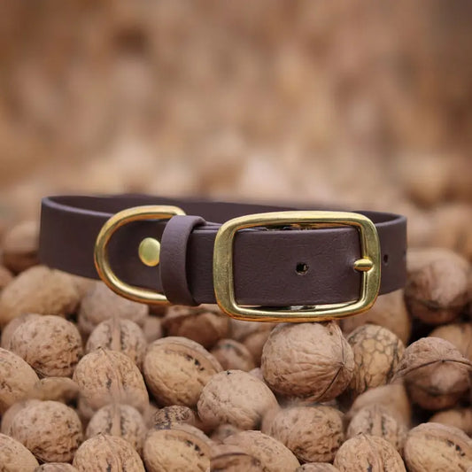 Obroża na sprzączkę dla psa, ciemny brąz / dark chocolate... HAU good! BURA