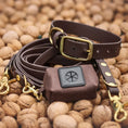 Załaduj obraz do przeglądarki galerii, Obroża na sprzączkę dla psa, ciemny brąz / dark chocolate... HAU good! BURA