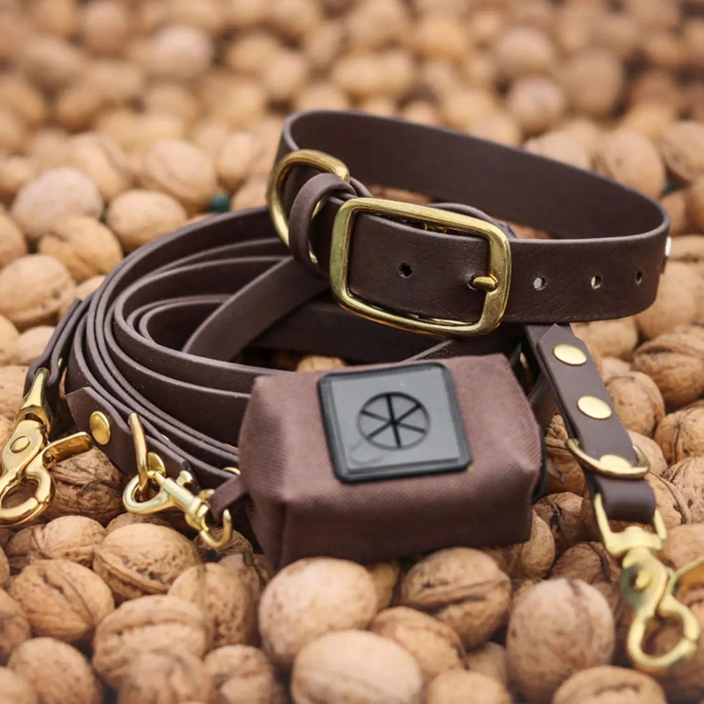 Obroża na sprzączkę dla psa, ciemny brąz / dark chocolate... HAU good! BURA