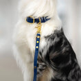 Załaduj obraz do przeglądarki galerii, Obroża na sprzączkę dla psa, granat / Royal dog BURA
