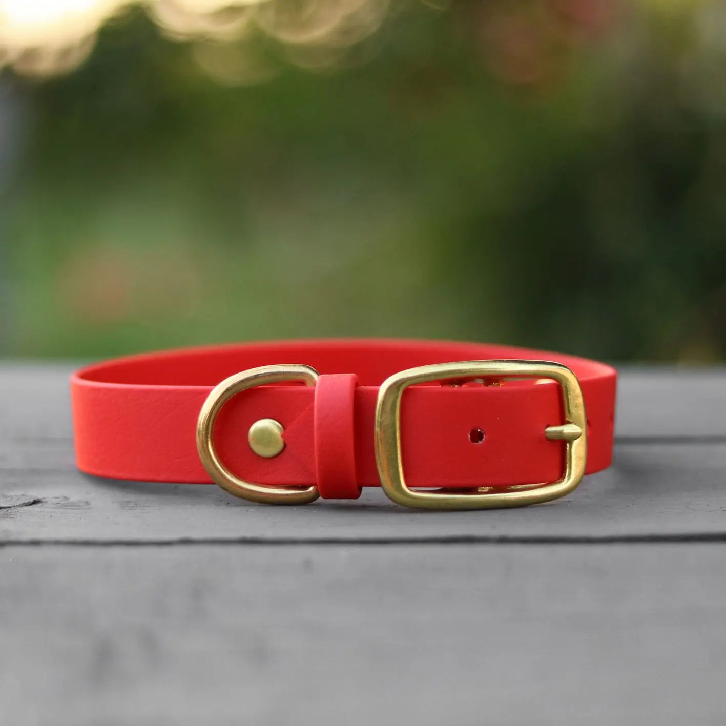 Obroża na sprzączkę dla psa, czerwony / hot DOG BURA